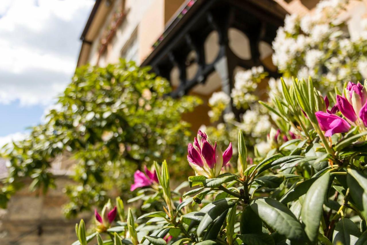 Gaestehaus Musmann Hannoversch Münden Екстериор снимка